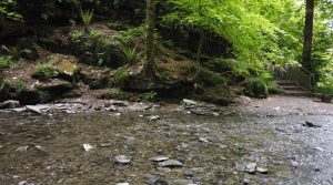 St Nectans Glen 03