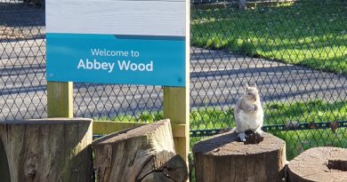 Abbey Wood Campsite